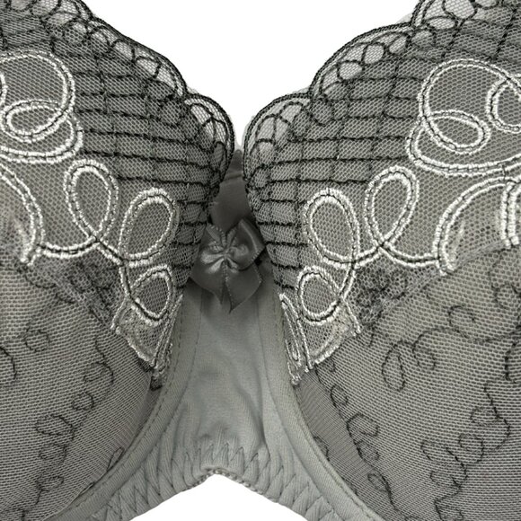 ⭐ NWT Fit Fully Yours Autumn Moulded Bra • Grey Lace Embroidered • 36B ⭐ - Picture 2 of 7
